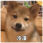 太平洋保险重疾险金佑人生分红型,太平洋的重疾险金佑人生