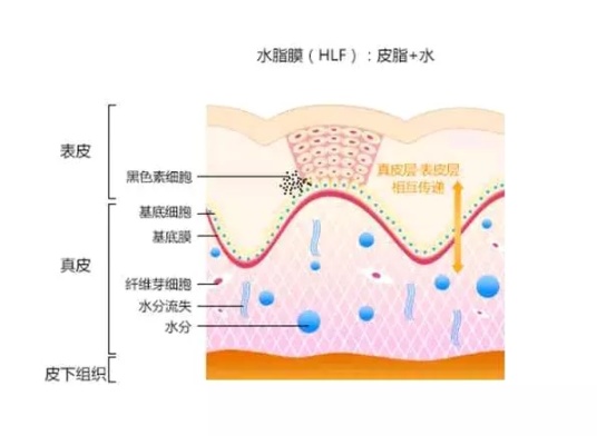 皮肤好是怎么做到的,皮肤好的第一步