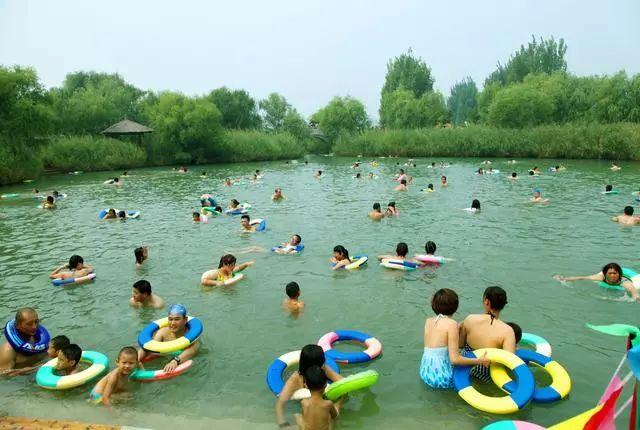 冬天来合阳，赏万顷芦荡，候鸟齐飞（组图）