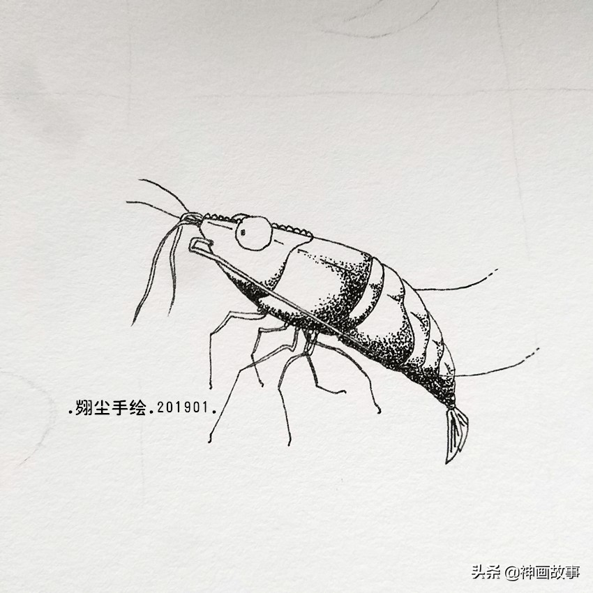 彩铅画q萌的萌宠,怎样画超写实宠物插画