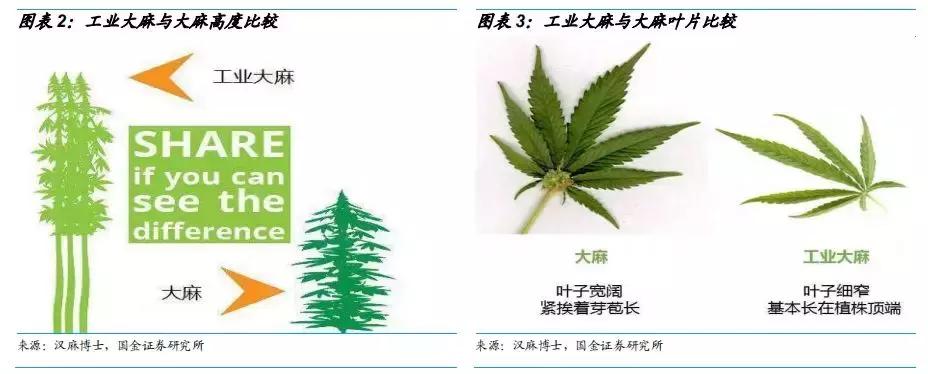 工业大麻素研究成果,工业大麻素研究