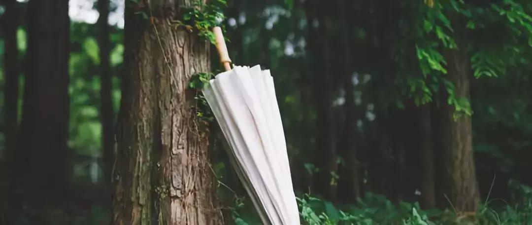 湿带着热在身体内“暴走”，不来点绝招应对可不行