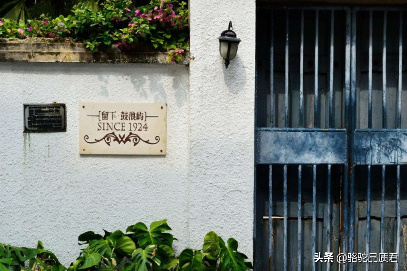 厦门海边之旅,厦门小众旅游体验