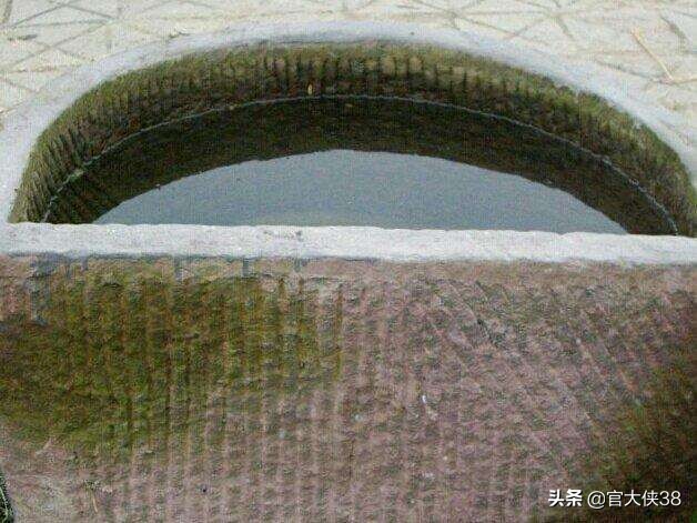 小的时候，有一次掏阴沟，居然有意外的发现，收获颇丰，大快朵颐