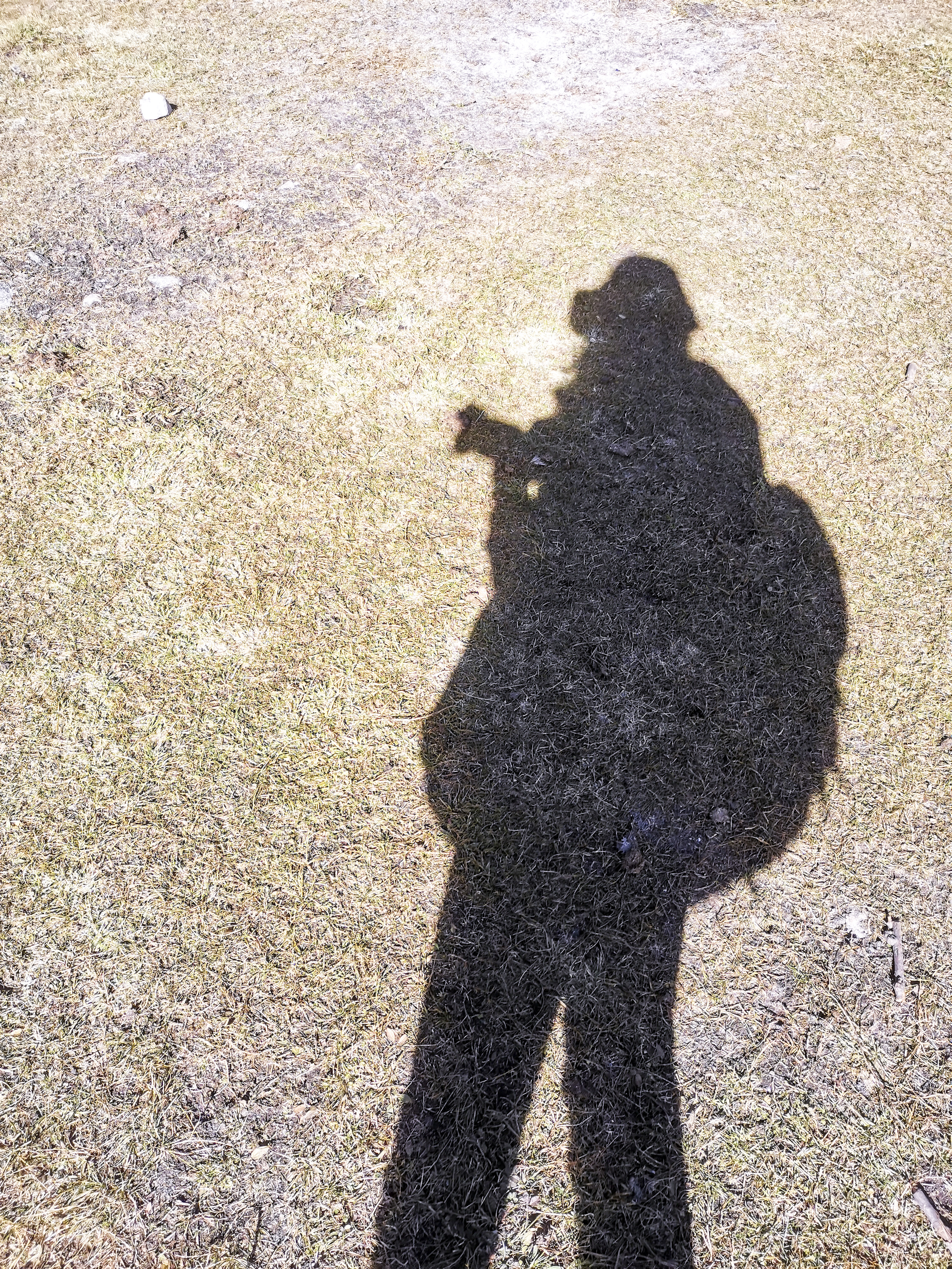 四川旅游四姑娘山阿坝,4月阿坝州必去的景点有什么