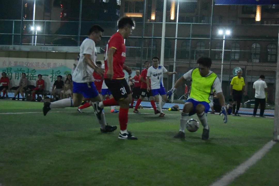 南国体投2024体育赛事,南国篮球赛