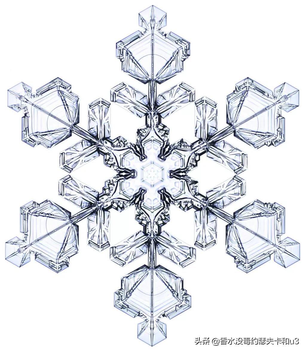 芦丹氏好不好闻,芦丹氏香水冷冽