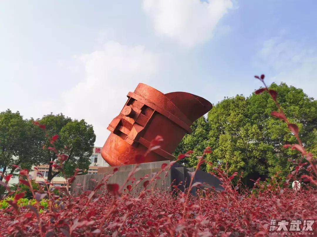 武汉科技大学的机械学院,武汉科技大学医学院和临床学院