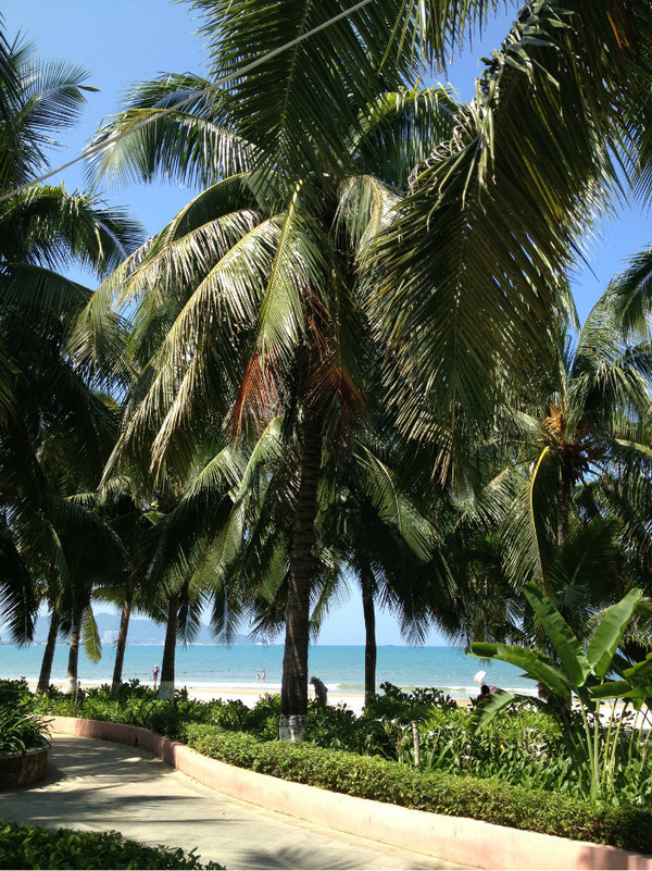 三亚自由行旅游攻略超详细哦,三亚旅游自由行全攻略