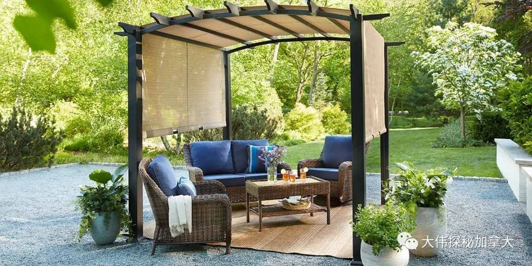 加拿大的价值观,加拿大的价值观是什么