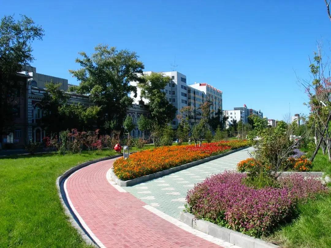 夏季黑河旅游攻略,夏季黑河旅游