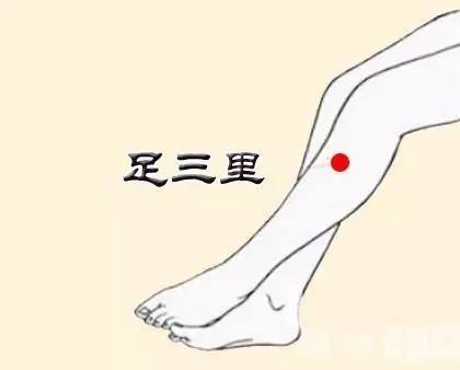 胃下垂了怎么办？不要慌，不要急，艾灸来帮助你了