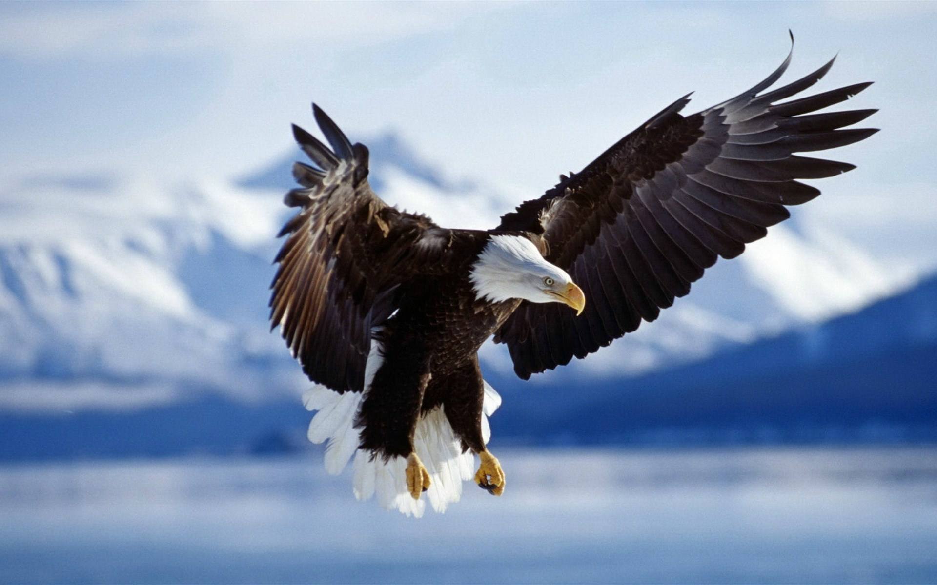 六个比较好的网站,六个网站学习