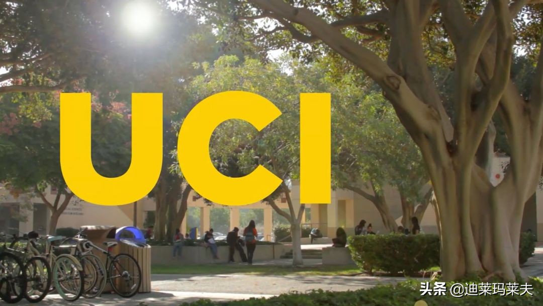 最新美国十大名校排名,美国最安全校园