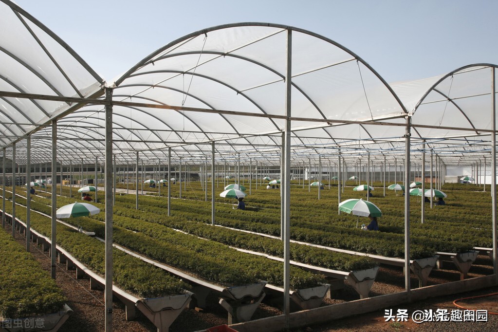 生态农业的优势及前景,生态农业发展存在的问题