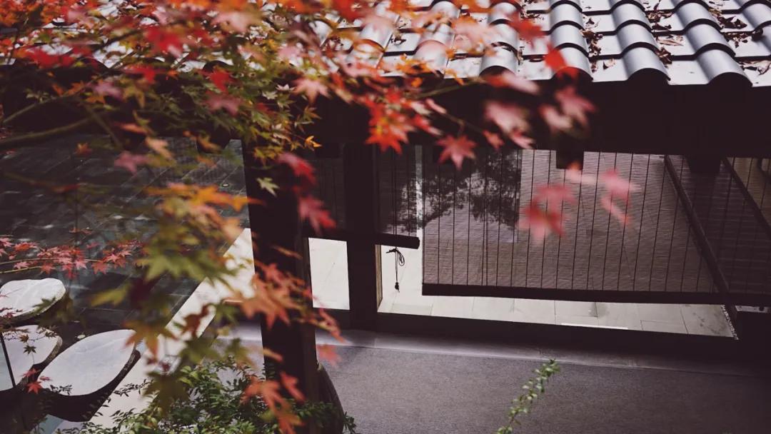 森林秘境的温泉,森林里野奢温泉度假酒店下午茶