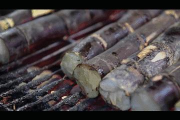 比毒蛇还毒的东西,比毒蛇还毒的生物