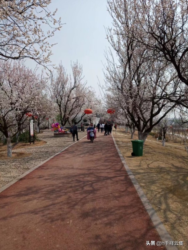 我的家乡商丘夏邑,夏邑又多一处美景有山有水还有花