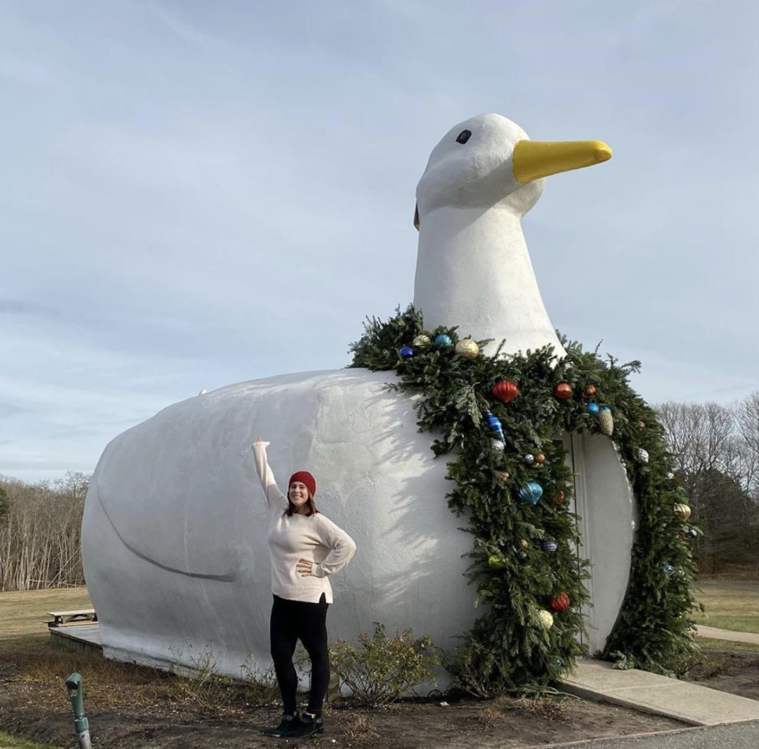 看了就想养的宠物,看了就想抱的宠物