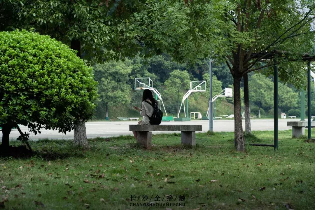 长沙最青春公交，串联6所大学的记忆