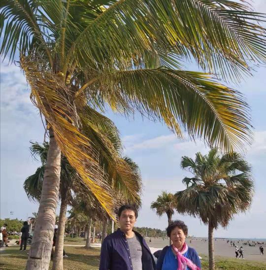 台湾游记完整版,西子湾旗津老街攻略