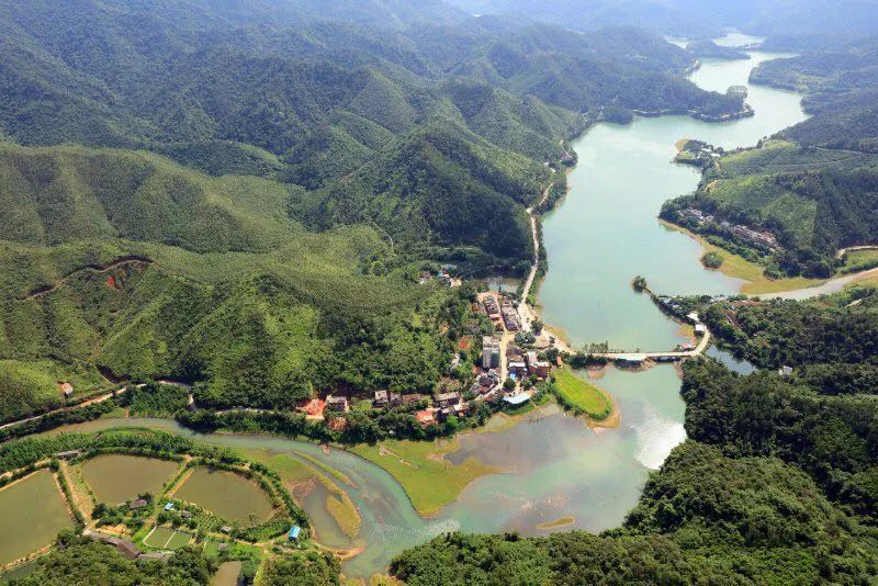 太美了！鼎湖这条宝藏级徒步线路，现在去刚刚好！