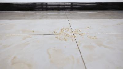 涓滆姖鍚稿皹鍣╟l1400娴嬭瘎,涓滆姖鍚稿皹鍣╟l1400鐢垫満鏈夊崠鐨勫悧