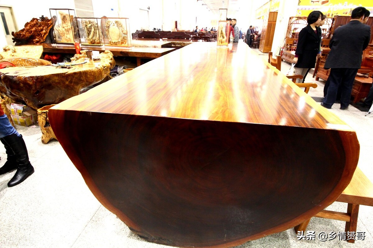 金丝楠木树那么贵为什么没有人种,金丝楠木为什么没有人种