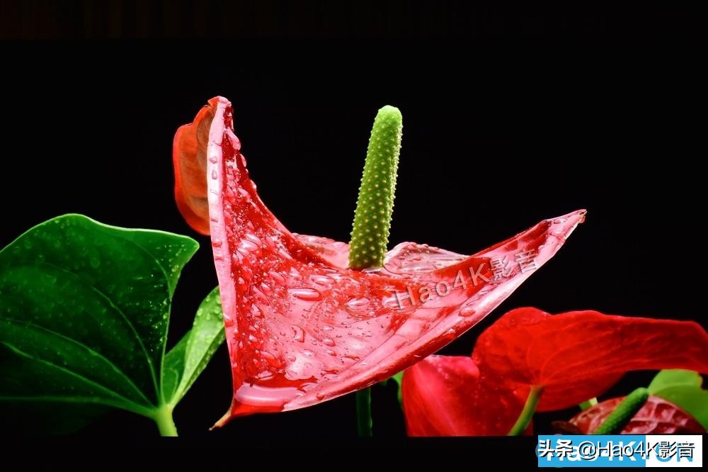 索尼xr85k电视测评,索尼xr95j75寸电视测评