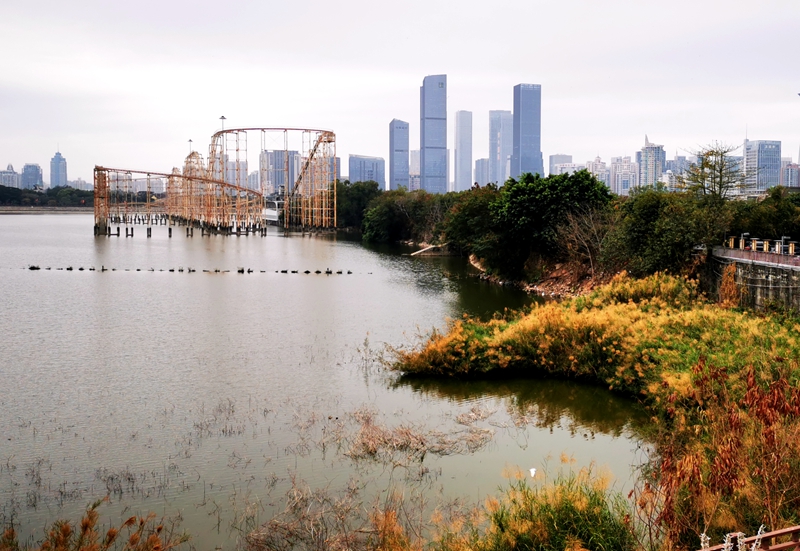 深圳香蜜湖周边规划,深圳香蜜湖现状