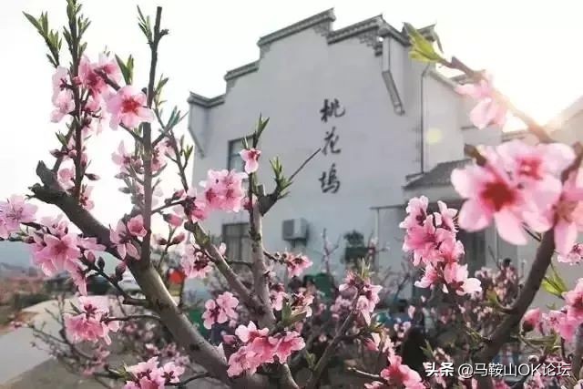 马鞍山的一年四季,马鞍山春天哪里最好