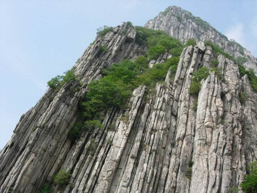 历史四大知识,中国的四大知识