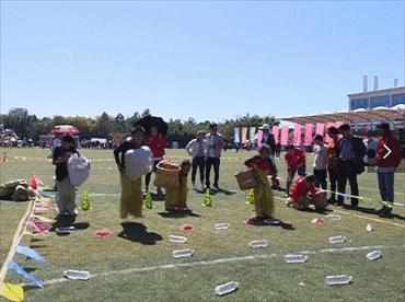 昆明弥勒人山人海,来弥勒玩人山人海