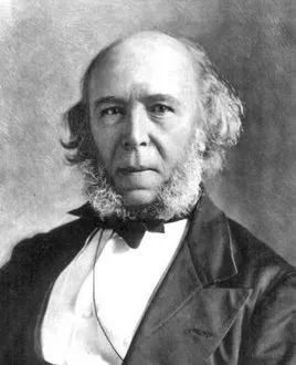 快乐教育真的是骗局么作文,快乐教育真快乐吗