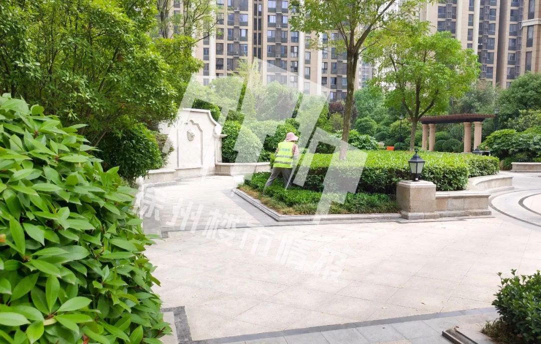 半年涨了几十万！这个小区业主真幸福