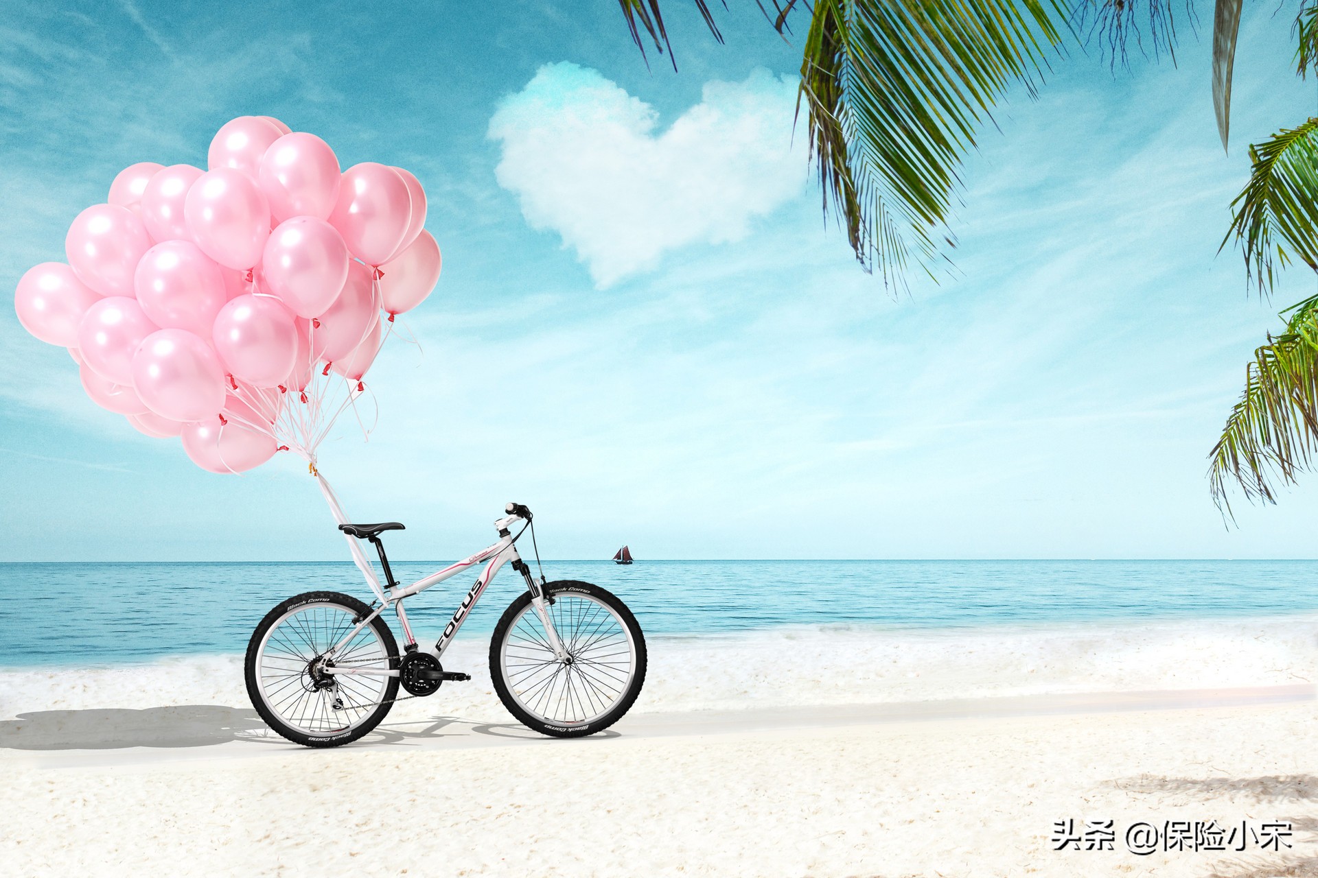 众筹捐款骗局怎么处罚,众筹保险被骗报警能追回来吗