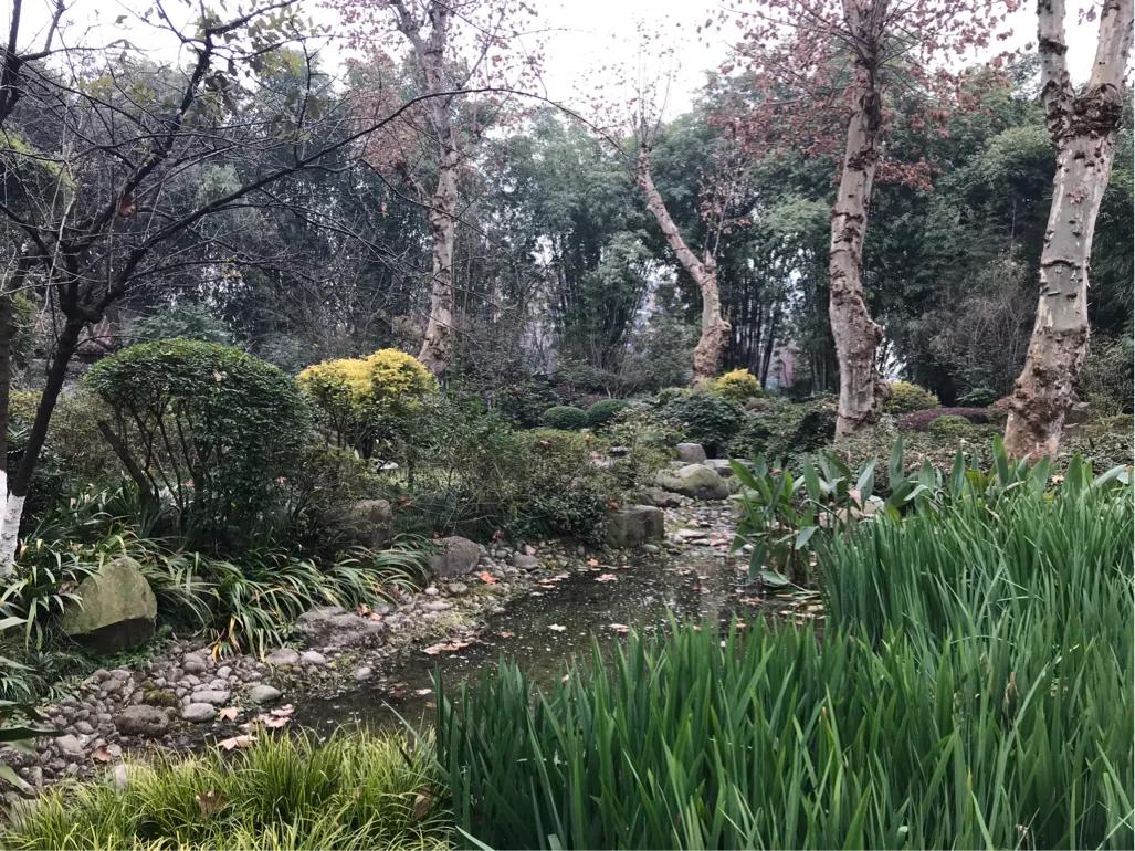 成都望江楼公园简介,成都望江楼公园要门票吗