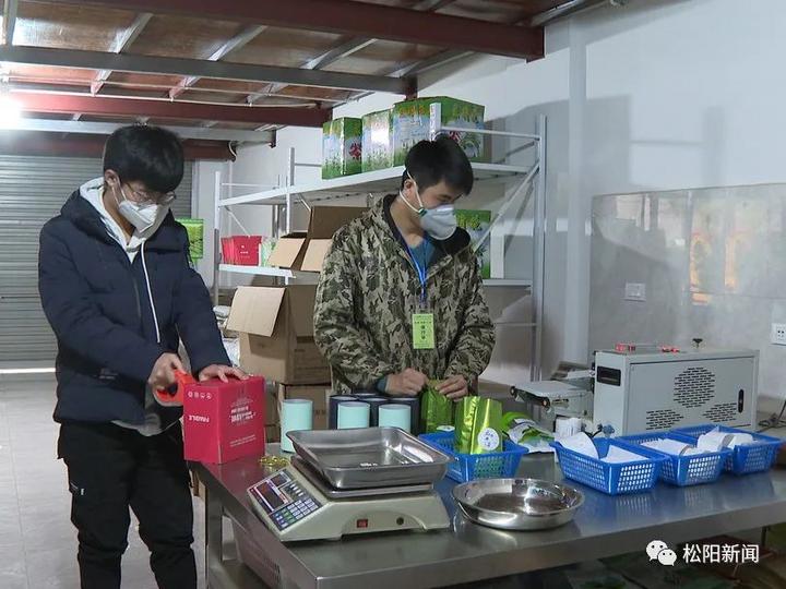 松阳香茶直播会,松阳香茶合作