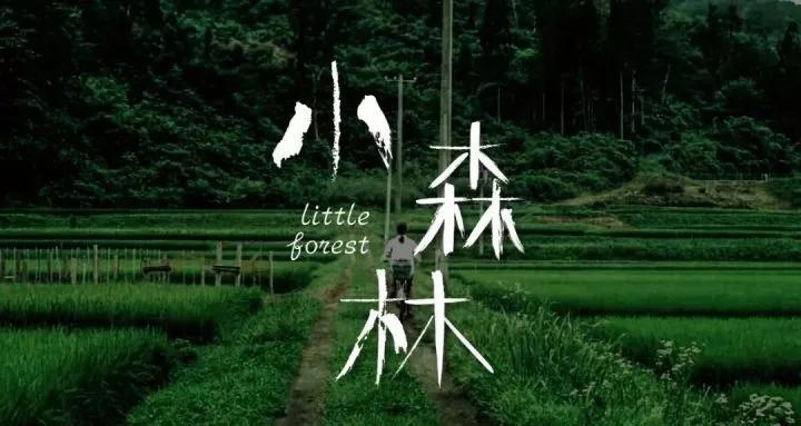 适合过年宅家看的治愈系电影推荐,关于过年的治愈系老影视剧