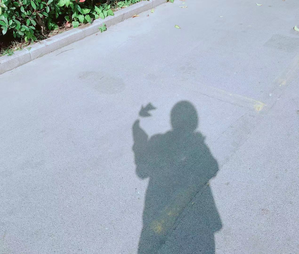 二胎日记3悲兮壮兮我的羊水穿刺记录（一）