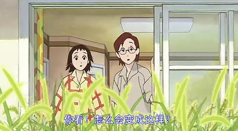 猫的报恩在哪里才看得到,猫的报恩行为