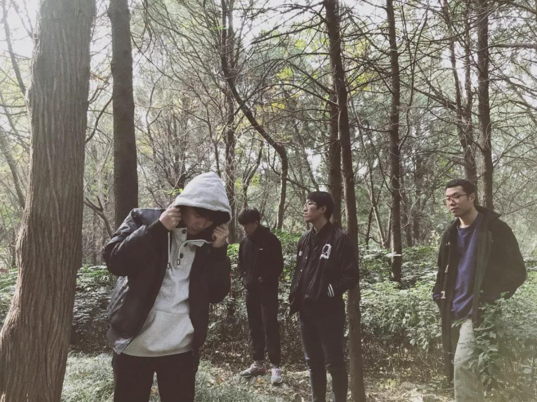 上海草莓基地挖草莓苗,超级草莓上海