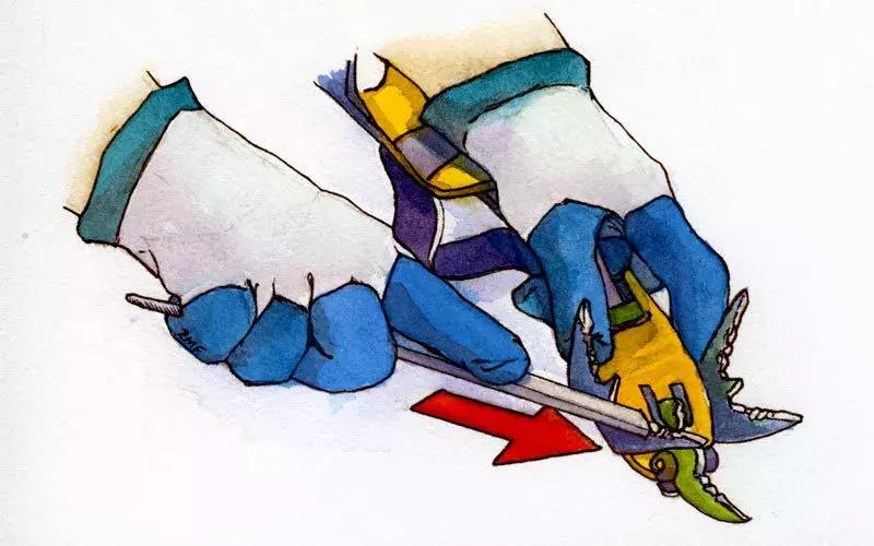 世界上最难的运动是什么运动,全世界最厉害的运动是什么