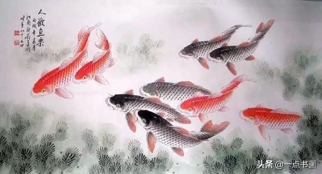 池中之仙，惊艳若此——锦鲤