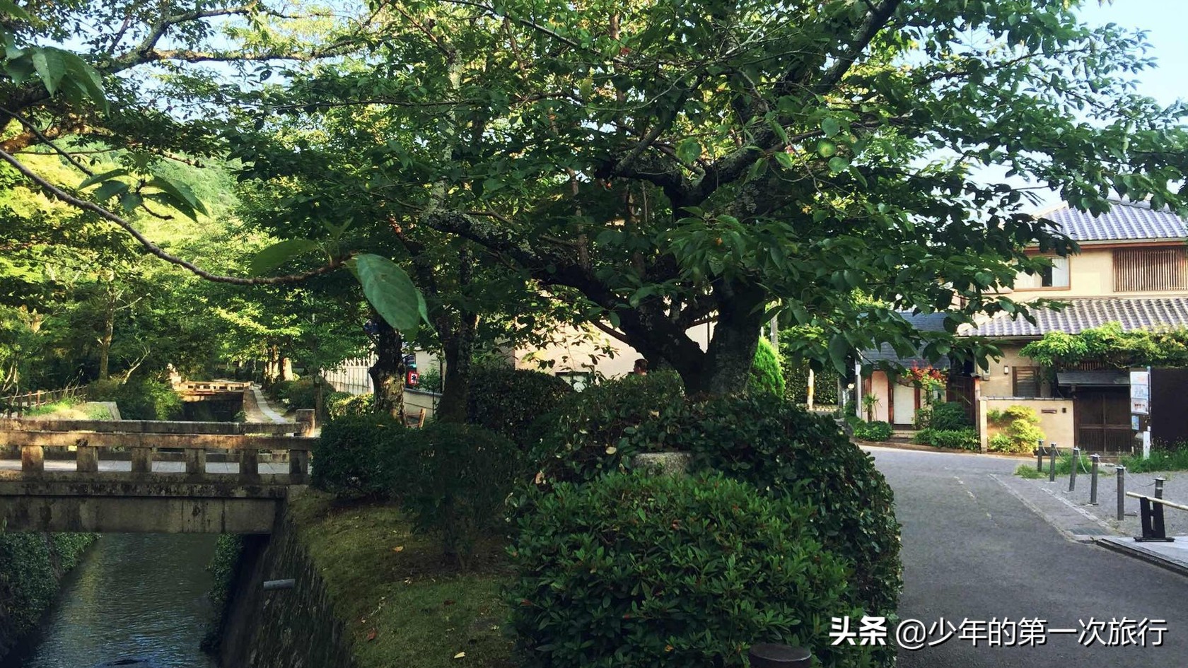 日本京都哲学之道攻略,日本京都自由行最佳攻略