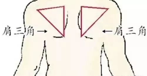 人体一共有三道保护系统,人体三大保护屏障分别是
