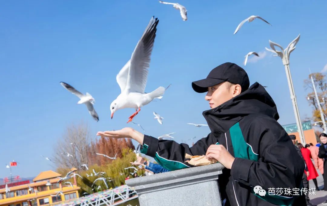 当人们追逐黄金和钻石的时候,当一个人渴望自由的时候