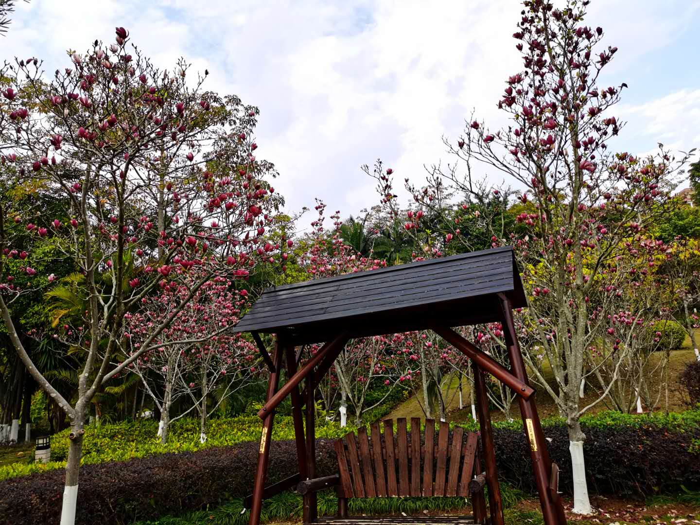 医生让病人出院病人不愿意咋办,医生让出院不想出院视频