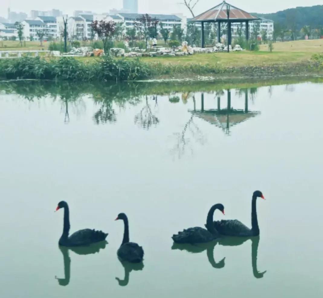 江苏省高校（三十一）苏州科技大学