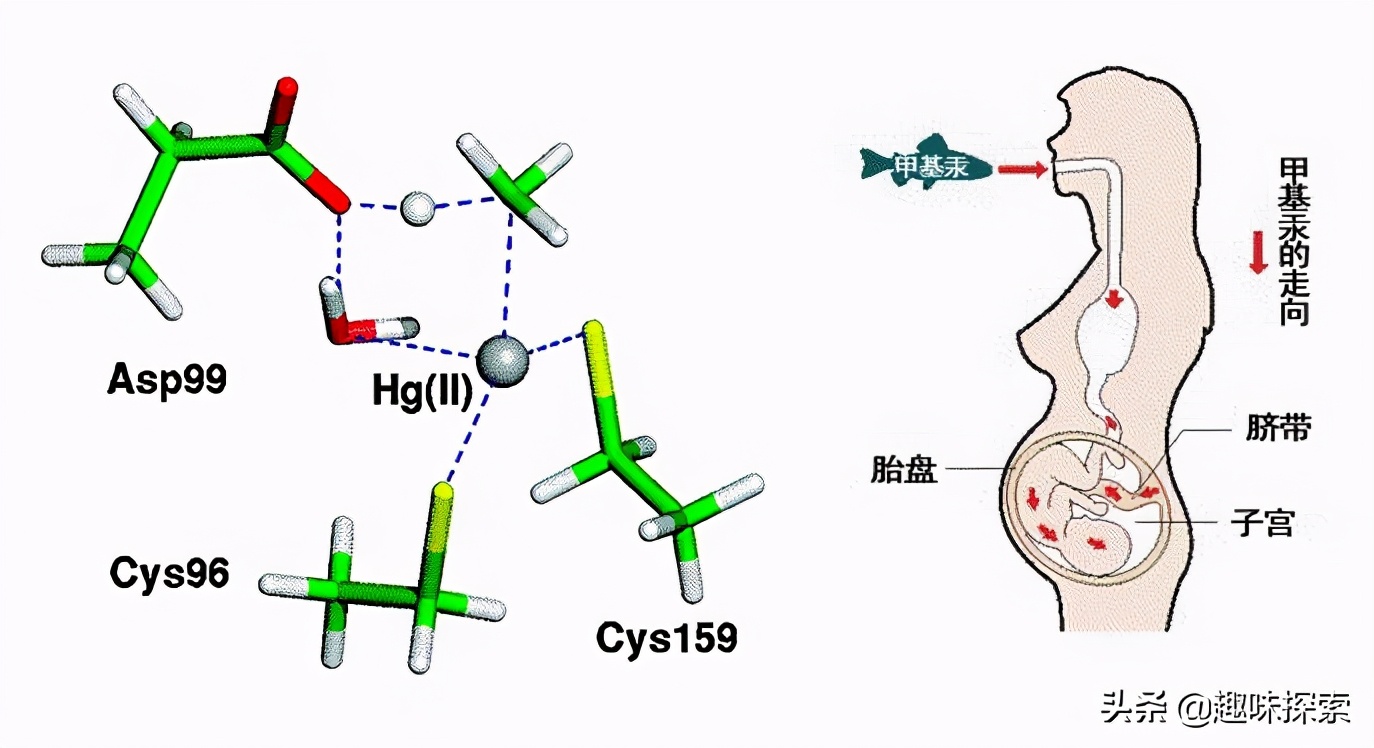 一支水银体温计打破中毒能自愈吗,一支水银体温计打碎通风需要多久